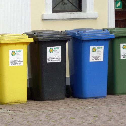 Czy wiesz, jak segregować śmieci w domu?